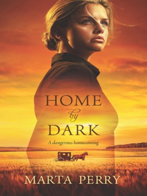 cover image of Home by Dark